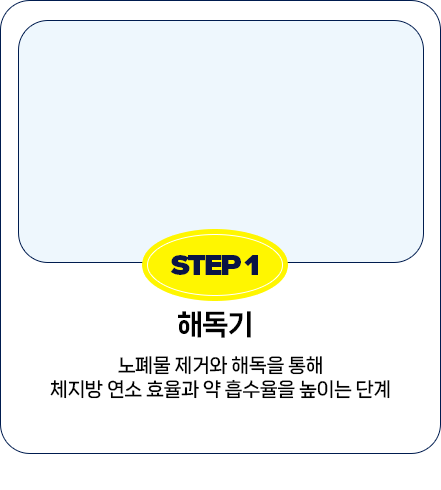 STEP 1 해독기 — 노폐물 제거와 해독을 통해 체지방 연소 효율과 약 흡수율을 높이는 단계