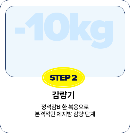 STEP 2 감량기 — 정석감비환 복용으로 본격적인 체지방 감량 단계
