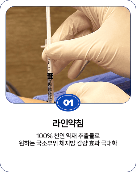라인약침